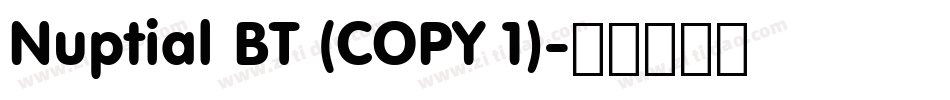 Nuptial BT (COPY 1)字体转换